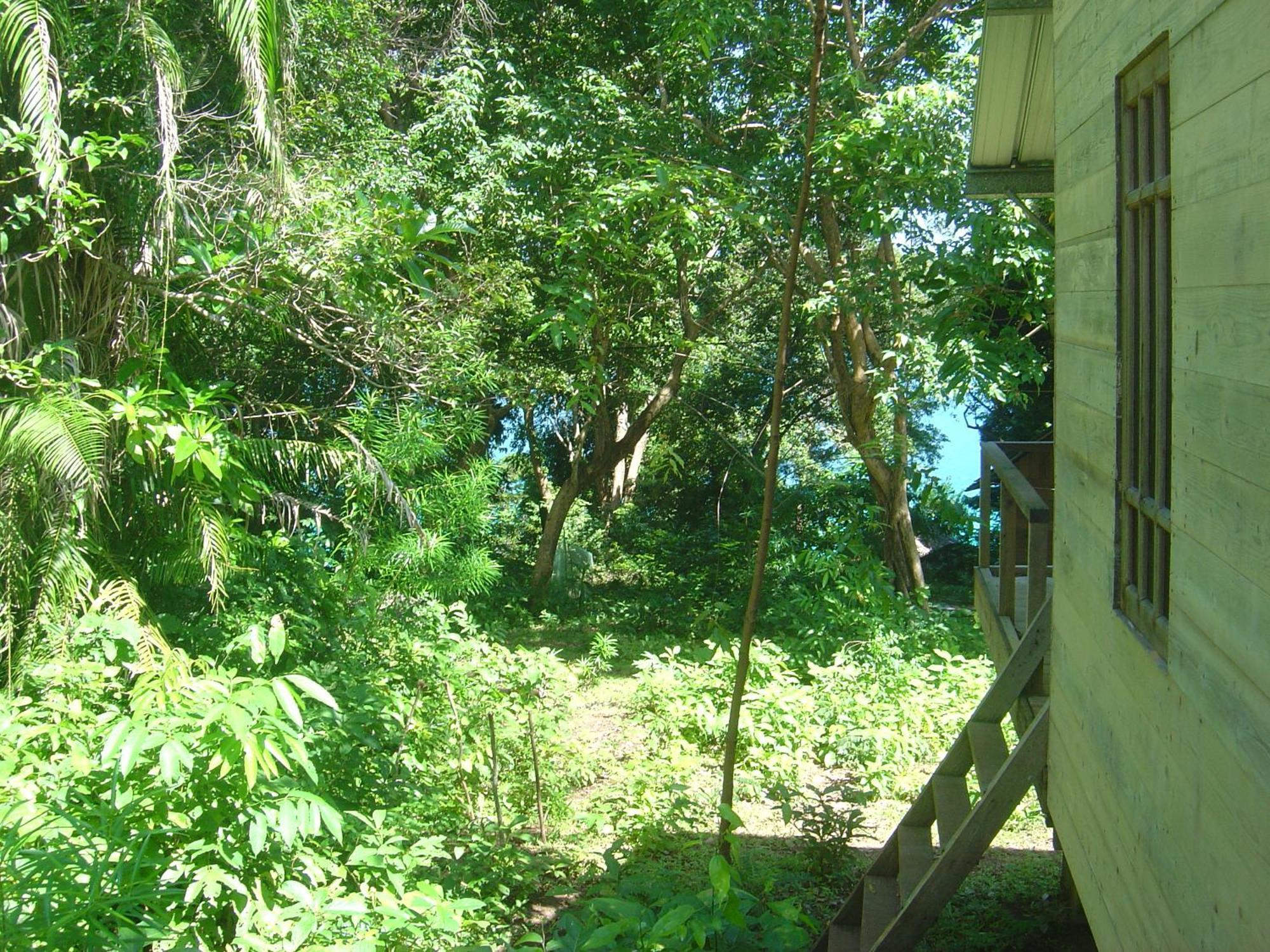 Olala Cafe & Bungalows Sabang Kültér fotó